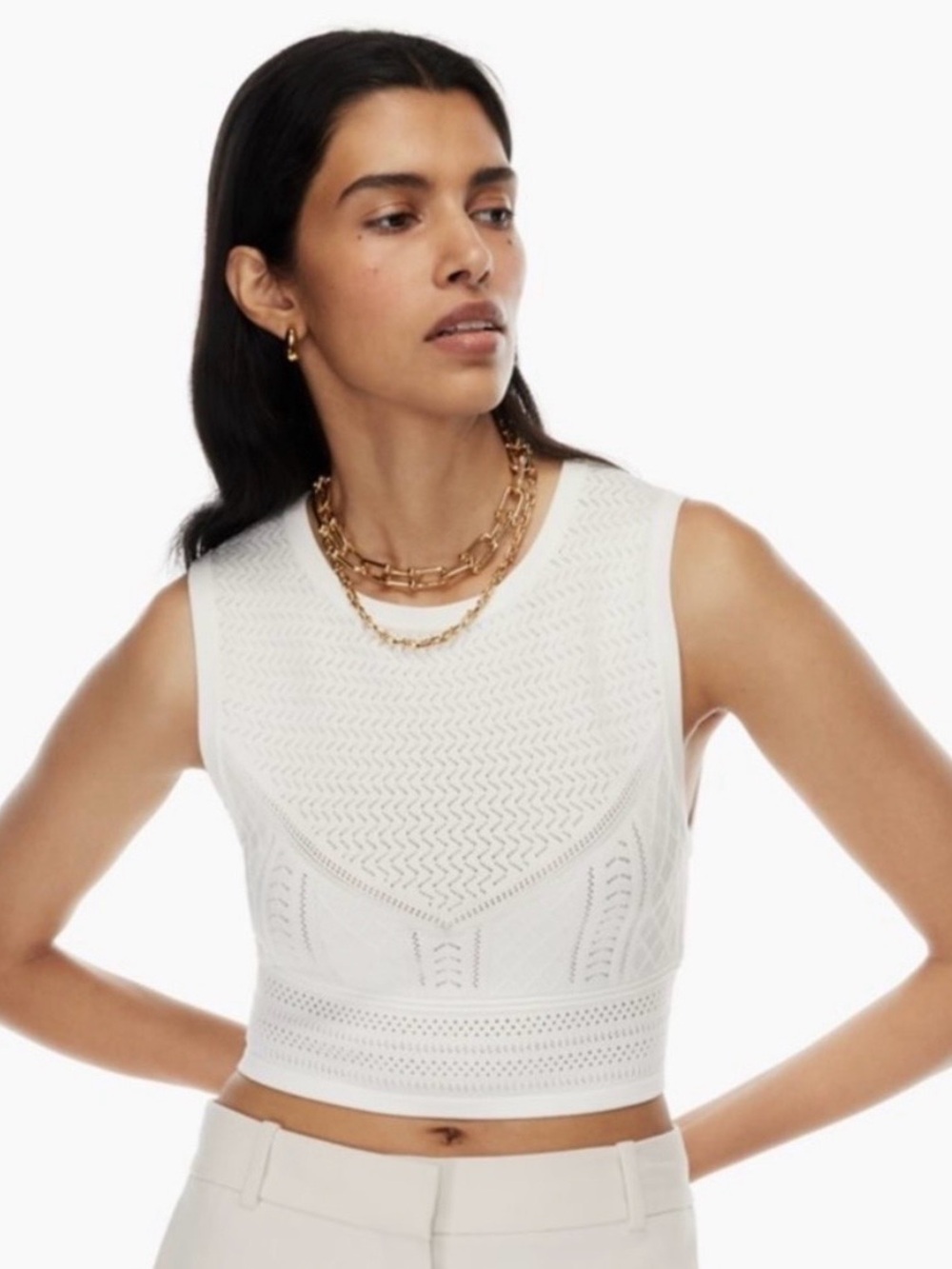 ARITZIA BABATON NWT Pointelle Sweater Knit Crop Tank in Denude Size XS